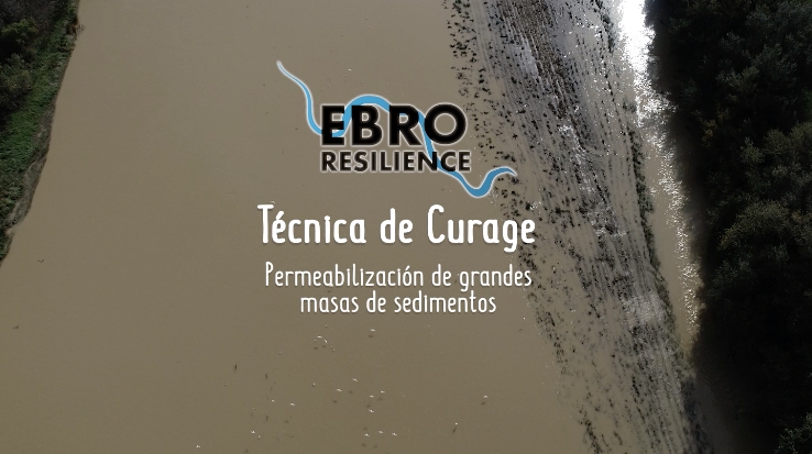 Albisteen irudia - Qué es un curage: permeabilización de masas de sedimentos vegetados